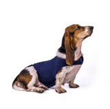 Calming Compression Vest